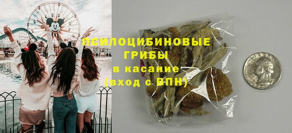 ГАЛЛЮЦИНОГЕННЫЕ ГРИБЫ Алексеевка