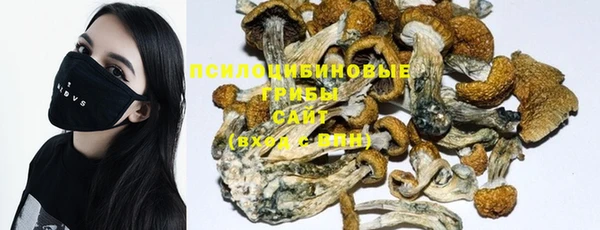 ГАЛЛЮЦИНОГЕННЫЕ ГРИБЫ Алексеевка