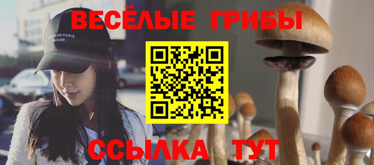 Галлюциногенные грибы прущие грибы  Галлюциногенные грибы MAGIC MUSHROOMS  купить наркотики сайты  Вход с VPN  Дюртюли 
