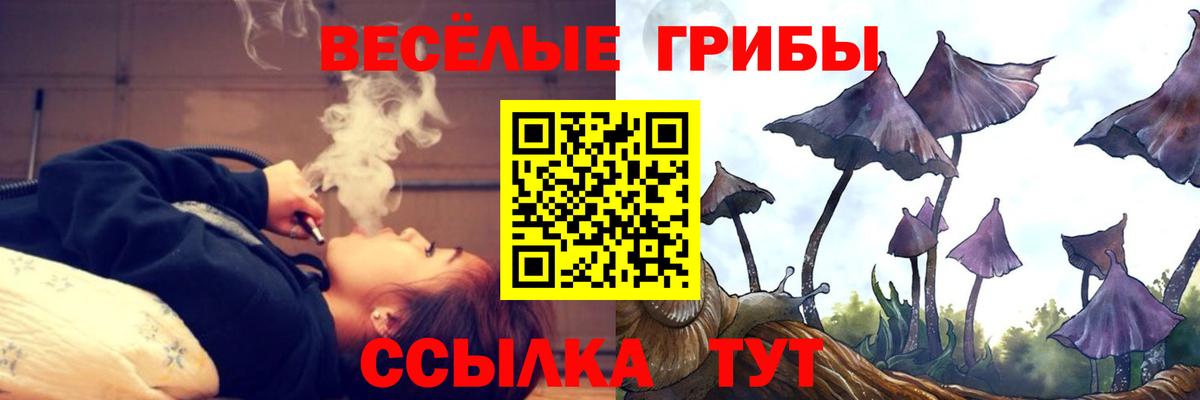 Псилоцибиновые грибы GOLDEN TEACHER Дюртюли